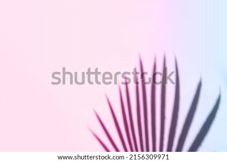 Palm leaves shadow on pastel pink wall background . Summer tropical beach background. Top view, flat lay, copy space, wallpaper