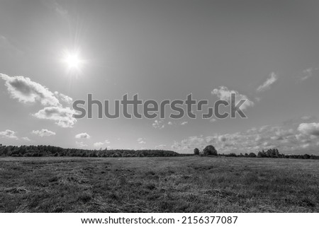 Field and forest under the bright sun at noon. HDR black and white landscape