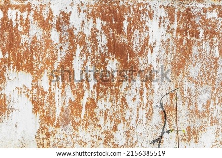 Background rusty iron sheet stained with white paint with red spots of rust and destruction close-up with the shadow of a plant illusion for copy space layout Royalty-Free Stock Photo #2156385519