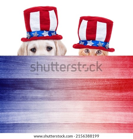 Patriotic American Pet Labrador puppy dog and kitten cat animal over red, white, blue sign for July 4th 4 fourth flag patriot party invite, Memorial Labor President Day sale flyer or USA vote poster Royalty-Free Stock Photo #2156388199