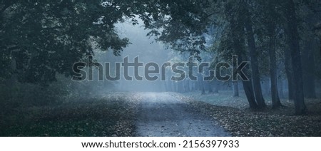 Old asphalt country road through the colorful deciduous oak, birch, maple trees with green, orange, yellow, golden leaves. Mysterious morning fog. Natural tunnel. Dark atmospheric autumn landscape Royalty-Free Stock Photo #2156397933