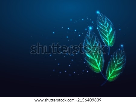 Futuristic eco herbs concept with glowing low polygonal green leaves isolated on dark blue