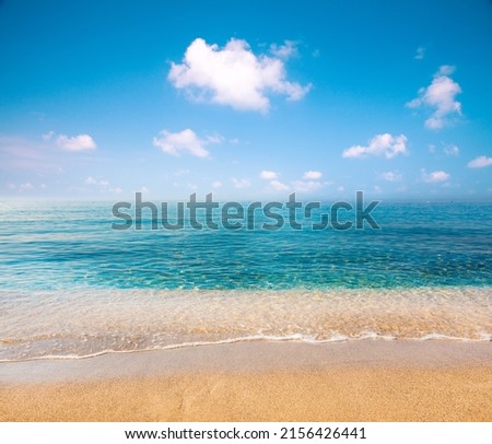 Sandy beach and beautiful tropical sea