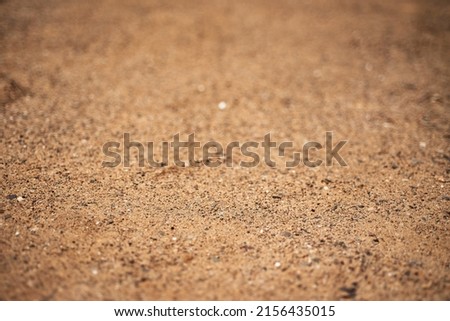 Sharp sand. Construction sand for laying paving slabs. Closeup shot of sand. Sharp sand with a blurred background. Royalty-Free Stock Photo #2156435015