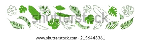 Leaf palm vector set, summer jungle foliage, green tropic plant,  element exotic tree, leaves outline and flat design isolated on white background. Nature illustration
