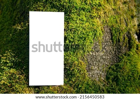 Forest background empty brochure flayer mockup on mossy rock texture environment spring nature hunt game playground concept with copy space Royalty-Free Stock Photo #2156450583