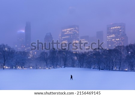 Winter snow landscape at dusk in Central Park.