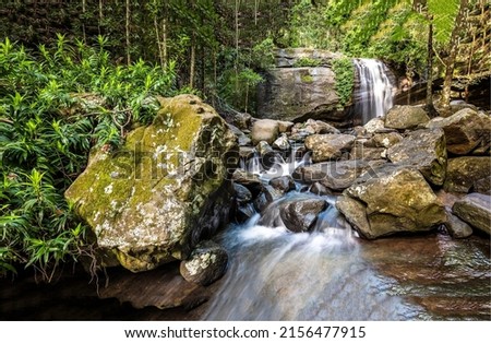 The stream of the forest waterfall. Forest waterfall stream. River waterfall in deep forest Royalty-Free Stock Photo #2156477915