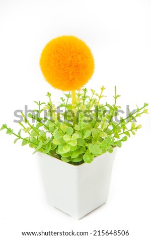 Decorative Plastic flower pot