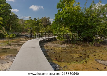 pathway, with cement construction Encroaching on forest