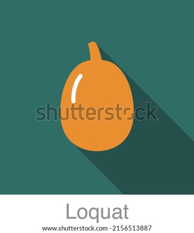 Loguat fruit flat icon, vector illustration