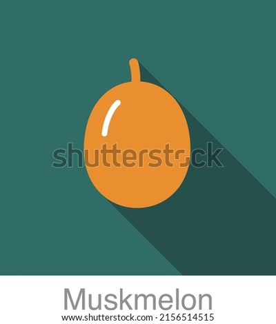 Muskmelon fruit flat icon, vector illustration