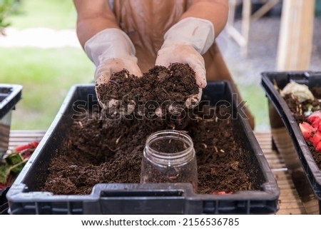 Earthworms on hand for organic fertilizer farming concept. Hand holding compost with Earthworms. A farmer showing the worms in his hand.