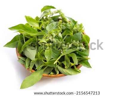 Hairy Basil in wooden bowl on white background.