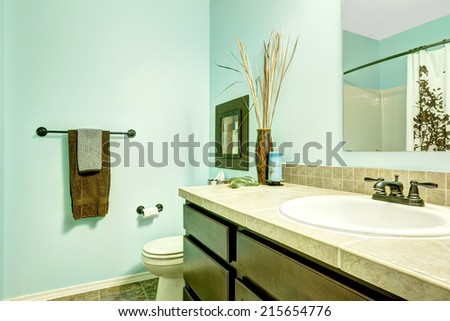 Refreshing light blue bathroom with wooden cabinet and mirror