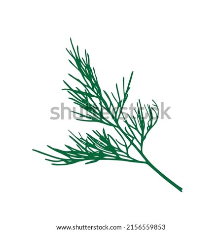 Dill sprig isolated. Fresh fennel twig, herb plant icon, macro photo of fragrant dill twig vector illustration Royalty-Free Stock Photo #2156559853