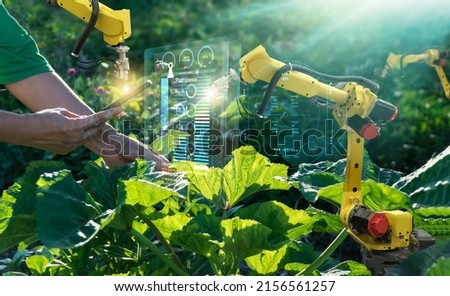 AI. Farmer use smartphone and robotics assistant. Pollinate of fruits and vegetables. Detection spray chemical. Leaf analysis and foliar fertilization. Science. Agriculture farming technology concept. Royalty-Free Stock Photo #2156561257