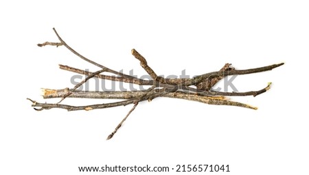 Branches pile isolated. Dry twigs pile ready for campfire, sticks, boughs heap for a fire, dry thin branches, brushwood Royalty-Free Stock Photo #2156571041