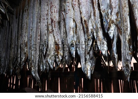 tasty dried and salted fish stock with hanging on farm for harvest and sell