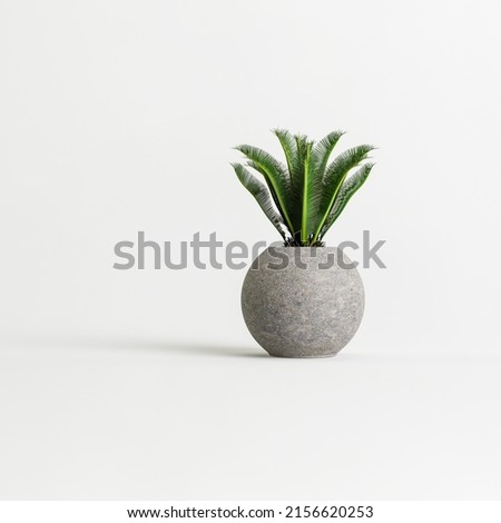 3d illustration of concrete houseplants isolated on white background