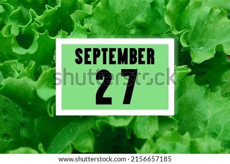 calendar date oncalendar date on the background of green lettuce leaves. September 27 is the twenty-seventh day of the month.