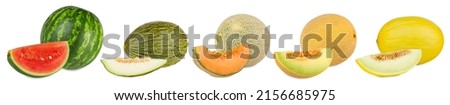 Set collection row of various kind of fruit melons like watermelon cantaloupe gaya charente and galia with melon slice isolated on white background. healthy nutrition eating concept Royalty-Free Stock Photo #2156685975