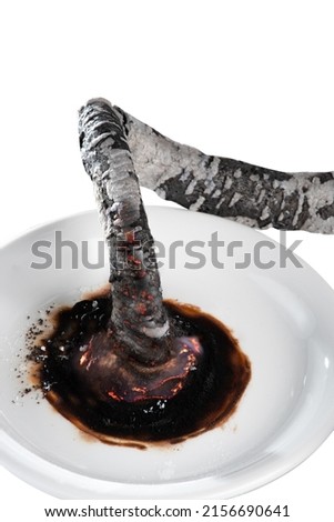 Chemical experiment - "Pharaoh's snake". Experience from dry fuel and calcium gluconate. Royalty-Free Stock Photo #2156690641