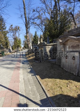 Lychakiv cemetery. Tombstones and graves in the cemetery. City cemetery. Ancient burial places with statues and monuments. Catholic cemetery, family crypt. Polish and Ukrainian cemeteries Royalty-Free Stock Photo #2156692523