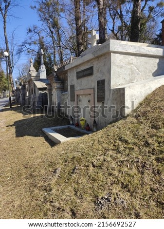 Lychakiv cemetery. Tombstones and graves in the cemetery. City cemetery. Ancient burial places with statues and monuments. Catholic cemetery, family crypt. Polish and Ukrainian cemeteries Royalty-Free Stock Photo #2156692527