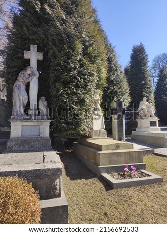 Lychakiv cemetery. Tombstones and graves in the cemetery. City cemetery. Ancient burial places with statues and monuments. Catholic cemetery, family crypt. Polish and Ukrainian cemeteries Royalty-Free Stock Photo #2156692533