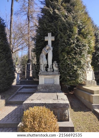 Lychakiv cemetery. Tombstones and graves in the cemetery. City cemetery. Ancient burial places with statues and monuments. Catholic cemetery, family crypt. Polish and Ukrainian cemeteries Royalty-Free Stock Photo #2156692535