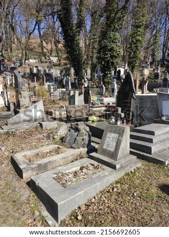 Lychakiv cemetery. Tombstones and graves in the cemetery. City cemetery. Ancient burial places with statues and monuments. Catholic cemetery, family crypt. Polish and Ukrainian cemeteries Royalty-Free Stock Photo #2156692605