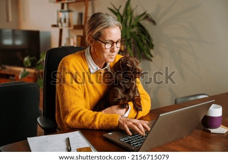 Caucasian female business woman working from home holding pet dog on her lap Royalty-Free Stock Photo #2156715079