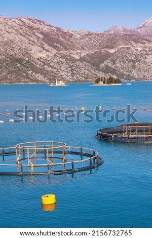 Fish farm. Beautiful Mediterranean landscape. Montenegro. View of Kotor Bay on sunny day Royalty-Free Stock Photo #2156732765