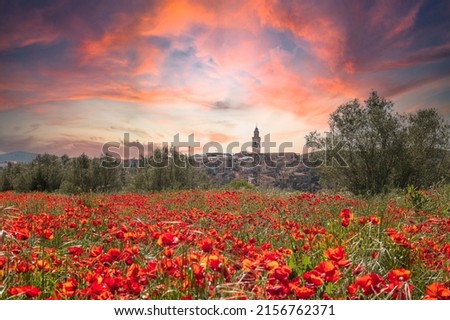 Views of Bocairent from a field of poppies at sunset.