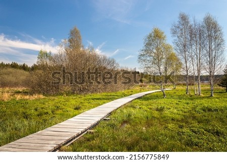 Landscape with a boardwalk - a wooden walkway in the wetlands around the Olsina pond in Sumava, Czech Republic Royalty-Free Stock Photo #2156775849