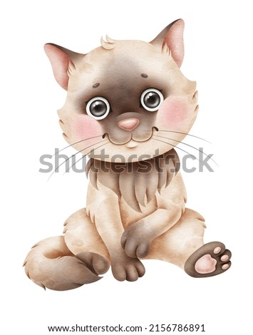 Cute little fluffy Siamese kitten. Watercolor illustration isolated on white background. Animal clipart. Poster for children