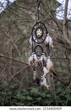 Dreamcatcher, spiritual mystic shaman amulet hanging in the forest, soft focus.