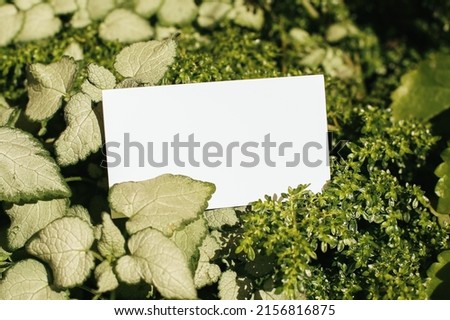 Flat card on leaves outside for web background design. White isolated background. Abstract landscape background. Happy holiday. Web banner template. Natural beauty.