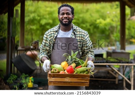 Farmer holding wooden box full of fresh  vegetables. Basket with vegetable. Man holding big box with different fresh farm vegetables. Royalty-Free Stock Photo #2156843039