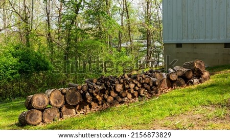 A stack of wood is lined up outside a home, ready for fireplaces.