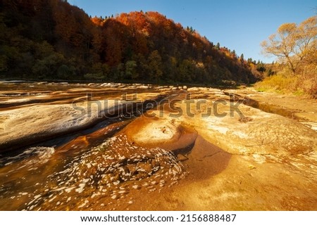 View of the waterfall in autumn. Waterfall in autumn colors. Mountain river in the autumn landscape. Ukraine, river Stryj.
