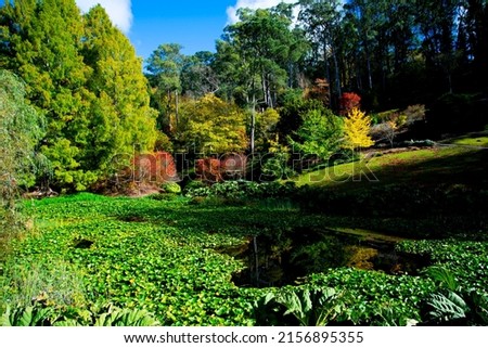 Mount Lofty Botanic Garden - South Australia Royalty-Free Stock Photo #2156895355