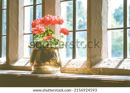 A coal scuttle being innovatively used as a flower vase at Canons Ashby National Trust Royalty-Free Stock Photo #2156924593
