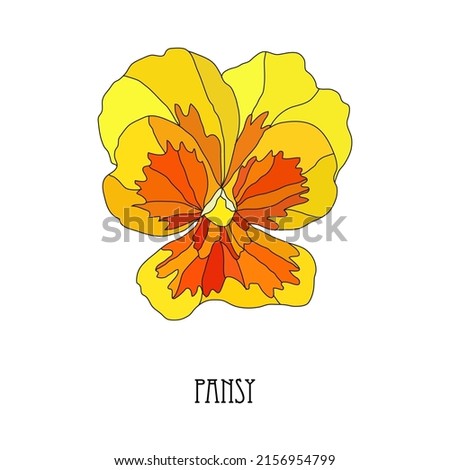 Decorative hand drawn orange yellow pansy, viola  flower, design elements. Can be used for cards, invitations, banners, posters, print design. Floral background in line art style