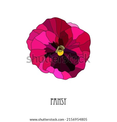 Decorative hand drawn pink pansy, viola  flower, design elements. Can be used for cards, invitations, banners, posters, print design. Floral background in line art style
