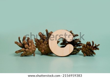 Letter C. A wooden letter of the English alphabet and four pine cones
