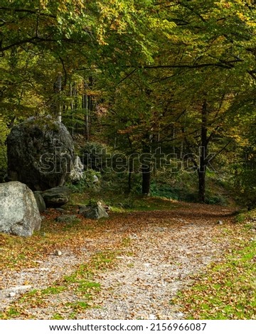 An autumn landscape and colors near Oropa sanctuary, Piedmont, Italy