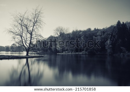 Monochrome landscape of lake in Winter