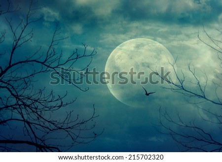 Halloween background. Spooky forest with full moon and dead trees Royalty-Free Stock Photo #215702320
